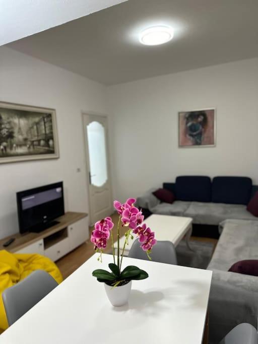The Urbanite Apartment Tirana